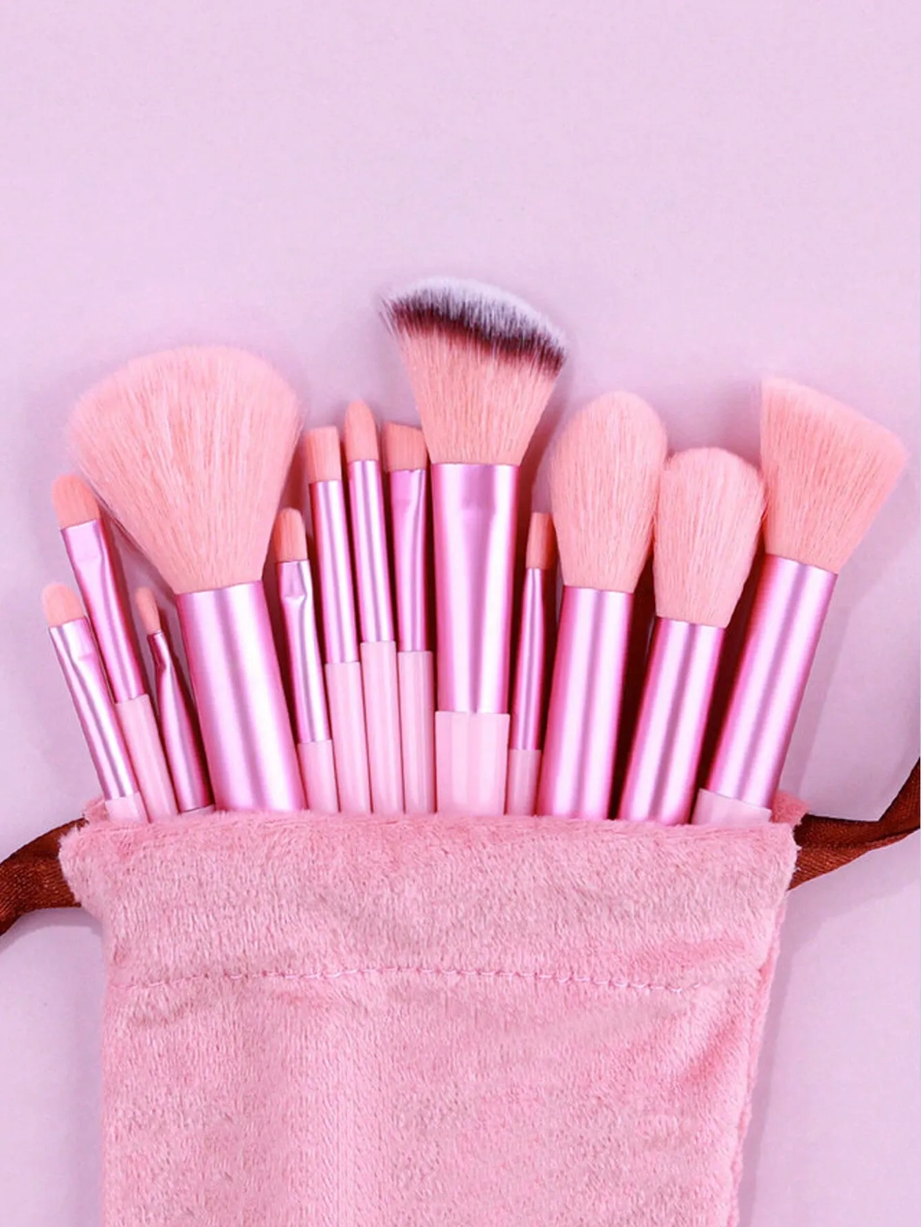 13pcs Portable Makeup Brush Set Including Blush & Eyeshadow Brush, Complete Beauty Tool Kit