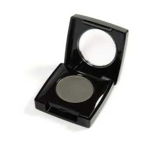 Danyel Eyelight Shadow- Slate