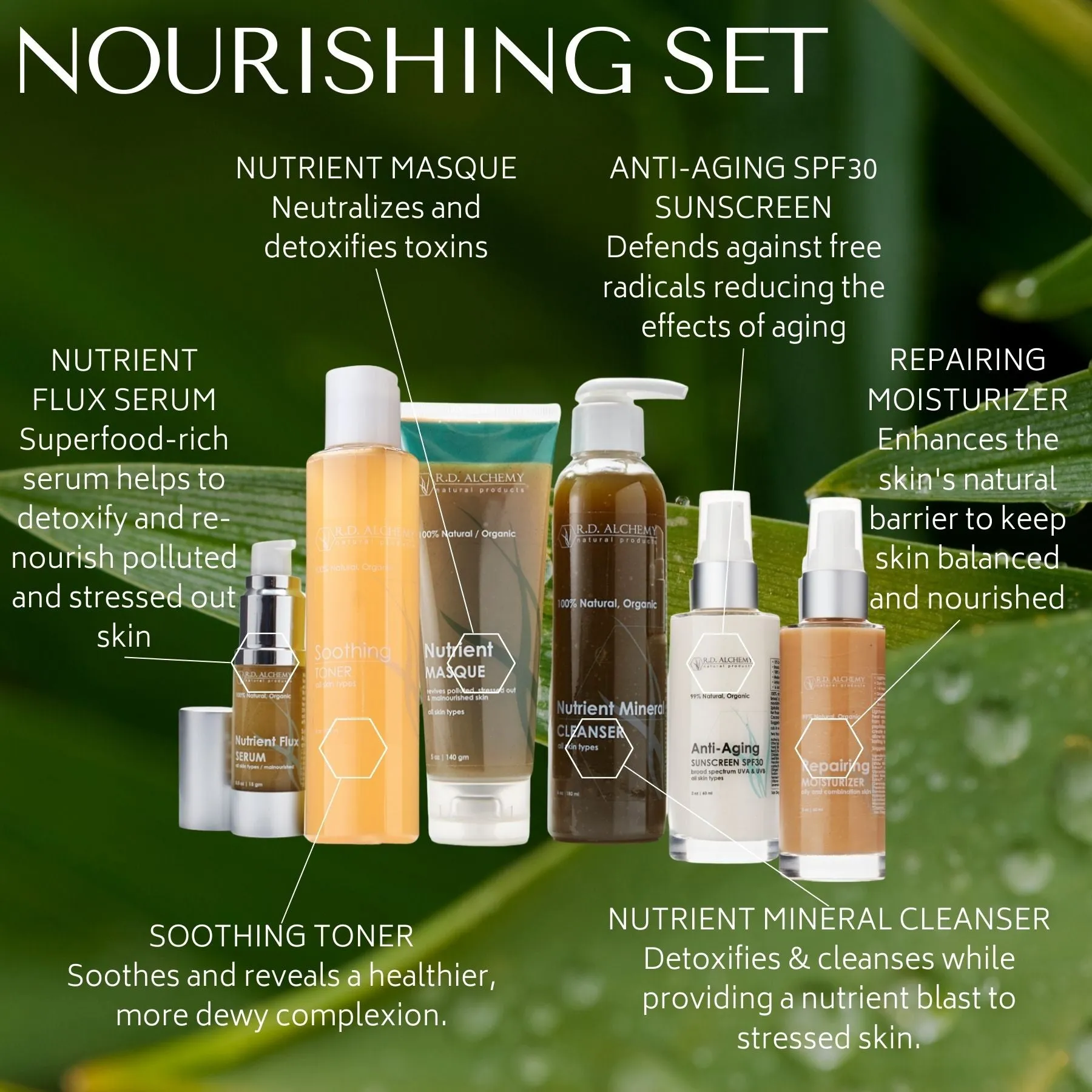 Nourishing Set